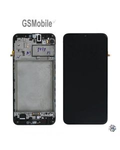 lcd_samsung_m30s_m307f.jpg